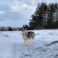 Секундная передышка :: Марина Ворошко (Митьковец)