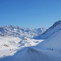 Дорога в зимнюю сказку :: nataly-teplyakov 