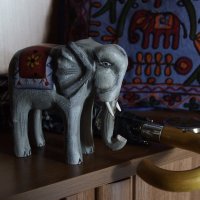 Слон :: Евгений Мельников