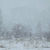 Хлопьями падал снег... :: Светлана Рябова-Шатунова