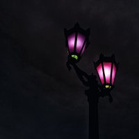 Ночь, улица, фонарь... :: Нина 