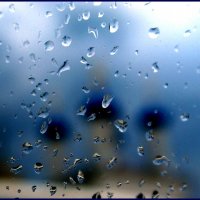 Дождь :: san05 -  Александр Савицкий