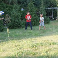 Внуки осваивают волейбол. :: Светлана Ященко