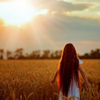 В пшеничном поле :: Оксана Осенняя