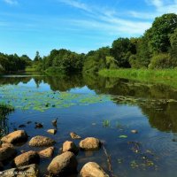 Außenmühlenteich Hamburg Harburg :: Nina Yudicheva