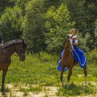 Показательные выступления наездниц :: Сергей Цветков