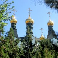 Купола Свято-Троицкого храма :: Нина Бутко