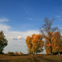 В сентябре играет ветерок с листьями опавшими красиво ... :: Евгений Юрков