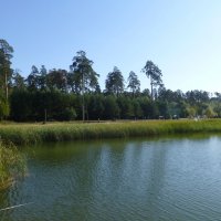 Озеро Лебяжье :: Наиля 
