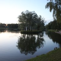 Екатерининский парк на закате :: Наталья Герасимова
