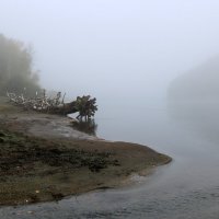 Туман на левом берегу Катуни :: Галина Козлова 