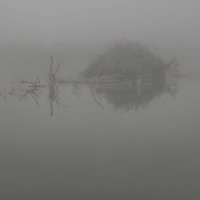 Туман,туман — на прошлом,на былом. :: Александр Липовецкий
