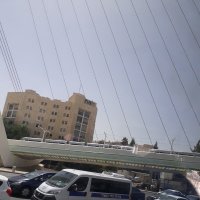 Струнный мост в Иерусалиме :: Герович Лилия 