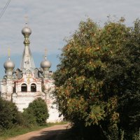 Густомесово. Церковь Успения Пресвятой Богородицы. Успенская церковь :: Ирина Шурлапова