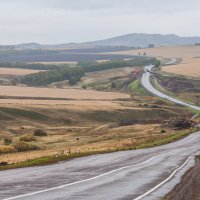 Дороги, дороги :: Анатолий Соляненко