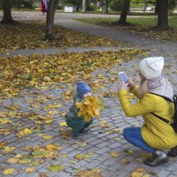 Фото с желтыми листьями. :: Анатолий Грачев