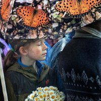 Мечта под дождём о бабочках :: Владимир Дядьков