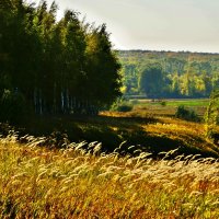 овраги :: Дмитрий Потапов