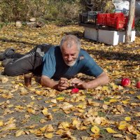 На ковре из желтых листьев.... :: Светлана Рябова-Шатунова