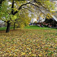 Осень в Екатеринбурге :: Leonid Rutov