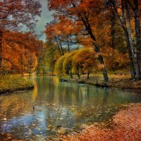 Осень в парке :: Дмитрий Motorin