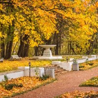 В осеннем парке :: Юлия Батурина