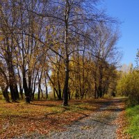 Дорожка в зиму :: Наталия Григорьева