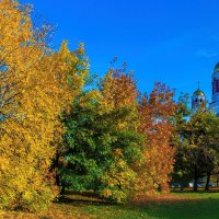 Осенние краски :: vladimir Bormotov