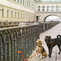 Прогулки по Петербургу :: Тата Казакова