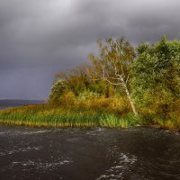 Осеннее ненастье :: Валерий 