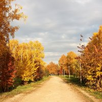 Осень в городе 3. :: Венера Чуйкова