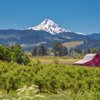 Mount Hood. Oregon. USA :: Andy Zav