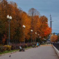 Где-то уже настоящая осень, а где то только начинается :: Александр Ребров