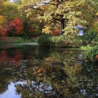Осень в японском саду. (1) :: Николай Кондаков