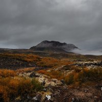 Пасмурные краски Исландии... :: Александр Вивчарик