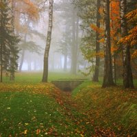 Осенний туман :: Ирина Румянцева
