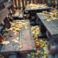 На скамью присела осень... :: Liliya 