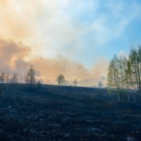 Лесной пожар. :: Владимир Лазарев