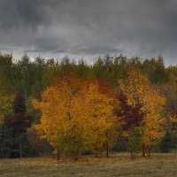 Осень :: Владимир Кириченко  wlad113