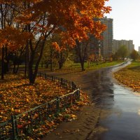 Экватор осени :: Андрей Лукьянов