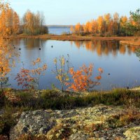 ОКТЯБРЬ В КАРЕЛИИ :: Николай Гренков