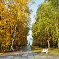 осень на Куликовом Поле :: Андрей Пахомов