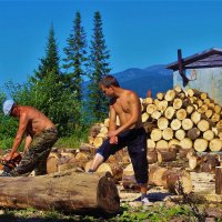 Заготовка дров :: Сергей Чиняев 