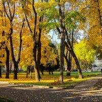 Осенние зарисовки :: Елена Митряйкина