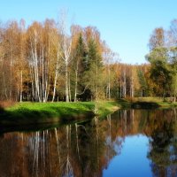 Осень в Павловске :: Наталия Короткова
