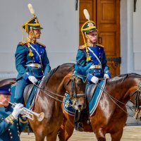 Церемония развода караулов президенского полка :: Николай Николенко