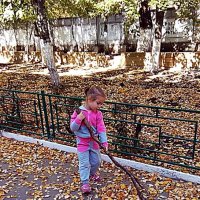 время собирать листья :: Александр Корчемный