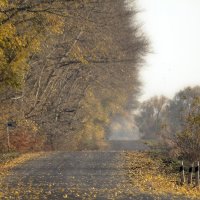дорога в осень :: Геннадий Свистов