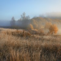 Утро октября. :: Анатолий 71 Зверев