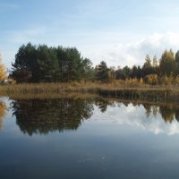 Miško ežeras / Lake in the wood :: silvestras gaiziunas gaiziunas